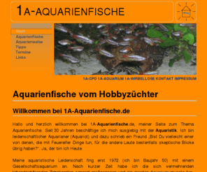 1a-aquarienfische.de: 1a-Aquarienfische vom Hobbyzüchter Roland Blankenhaus
Aquarienfische günstig kaufen - aus Qualitätsnachzuchten vom Hobbyzüchter aus Hamburg. Hohe Qualität, geringer Preis!