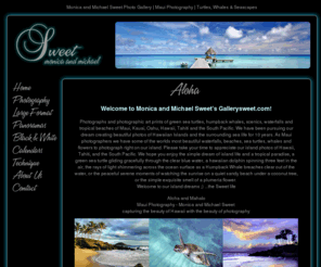 gallerysweet.com: Maui Photography on Canvas Giclee | Turtles, Whales & Seascapes
Sweet Photo Gallery - Fine Photography of Michael and Monica Sweet. Maui Seascapes, Turtles Humpback Whales and more. Purchase Photo's Canvas prints and Panoramas.