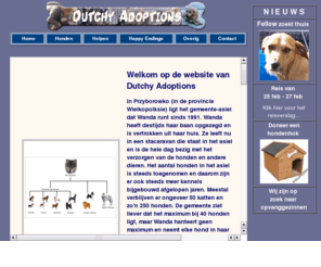 dutchyadoptions.com: Dutchy Adoptions  Adoptie van honden uit Polen
Ondersteuning voor buitenlandse honden door middel van donaties, inzameling spullen en adopties van de honden in Polen.