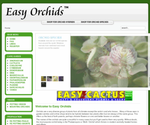 yorkshireorchidcentre.com: Welcome to Easy Orchids
Buying Orchids and growing orchids - the home of orchid growing for Phalaenopsis, Cattleya, Vanda, Dendrobium and more