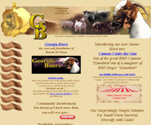 georgiaboer.com: Georgia Boers, Raising Quaility Boer Goats for Sale in Georgia
Boer Goats. Solution for small farm survival.Georgia Boers raises fullblood, purebred and percentage Boer goats for sale. Traditionals,reds, paints and spotted Boer goats. Boer goats for 4-H and FFA projects, brush control, broodstock , show quality animals and high percentage Boer meat goats