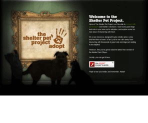 theshelterpetproject.com: The Shelter Pet Project: Your New Pet Adoption Resource for Dogs and Cats.
Find dogs and cats up for adoption. Connect with pet experts with all kinds of knowledge about rescue animals and adoption. Even send an adopt-o-gram to your friends to help spread the adoption message.