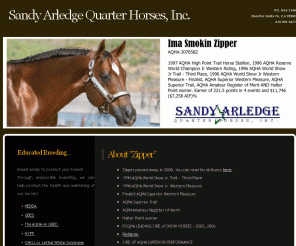 saqh.com: Sandy Arledge Qtr. Horses, Inc.
