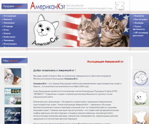 americancat.ru: Американские короткошерстные
Ассоциация заводчиков американских короткошерстных кошек АмериканКетКЭТФОЛД (best scottish fold & scottish straight cats)