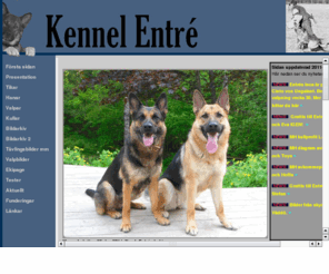 kennelentre.com: Kennel Entr
Kennel Entr - sunda schferhundar med stor arbetskapacitet