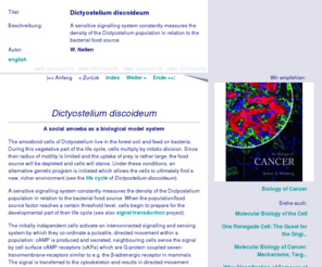 dictyostelium.com: Dictyostelium discoideum
A sensitive signalling system constantly measures the density of the Dictyostelium population in relation to the bacterial food source.