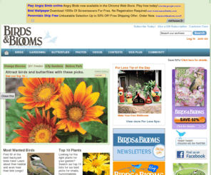 backyardlivingmagazine.com: Birds & Blooms Magazine: Flowers, Birds, Hummingbirds & Butterflies | Birds & Blooms
<meta name="Description" content="birdsandblooms.com and Birds & Blooms Magazine feature free practical tips for growing bigger blooms and attracting more birds to your backyard, beautiful photographs of your favorite birds, birdhouses and flowers and fun facts about birds and butterflies">   
