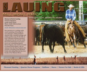 lauingmillironlranch.com: Lauing Mill Iron L Ranch
