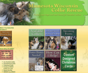 mwcr.org: Minnesota Wisconsin Collie Rescue
Minnesota Wisconsin Collie Rescue takes in and rehomes purebred Collies