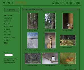 montefoto.com: Monte pildileht
