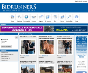 bidrunners.com: Bidrunners.com Inc - Live Horse Auctions
Live Online Horse Auctions