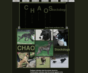 chaosstockdogs.com: Home
CHAOS Stockdogs