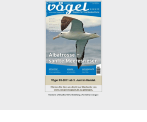 voegel-magazin.de: Vögel - Magazin für Vogelbeobachtung
Vögel - Magazin für Vogelbeobachtung mit interessanten Beiträgen und Fotos rund um das Thema Vogelbeobachtung.