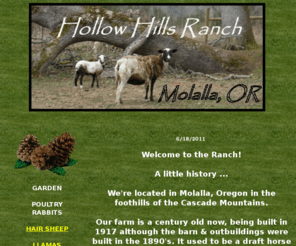 hollowhillsranch.com: Hollow Hills Ranch - Katahdin, St Croix, St Thomas, and Katahdin cross hair sheep
Hollow Hills Ranch - Raising and selling Katahdin, St Croix, St Thomas, and Katahdin cross hair sheep.