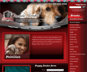 purebreadbreeders.com: Purebred Breeders - America's Top Dog Breeders on PurebredBreeders.com
Purebred Breeders is a nationwide organization of experienced dog breeders offering healthy, happy puppies for sale to loving families across the country.