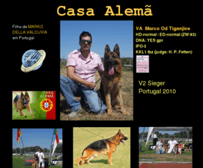 casaalema.com: pastor alemao;cao pastor alemao;criador pastor alemao;cachorros pastor alemao;pastoralemao;crias pastor alemao;pastor aleman
Criador da raça Cão de pastor Alemão,exemplares criados segundo as normas Alemãs, controlo de Displasias e Aptos de Cria obrigatorios,se nascem perfeitos porque não mante-los assim, 