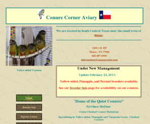 conurecorner.com: Conure Corner Aviary
Information about Green-cheeked conure mutations, pyrrhura molinae, Yellow-sided Conures, Pineapple Conures, Turquoise Conures