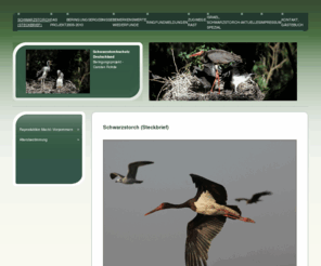 schwarzstorchberingung.de: Schwarzstorchschutz  Deutschland - Schwarzstorch (Steckbrief)
Kurzbeschreibung über den Schwarzstorch