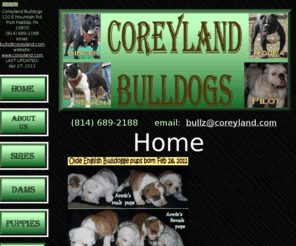 coreyland.com: Coreyland Bulldogs: Raising Hermes Olde English Bulldogges
13 years raising Olde English Bulldogges. Developed for health, ability, and temperament, OEB's are devoted, loyal, and smart -- terrific pets. PUPPIES AVAILABLE.