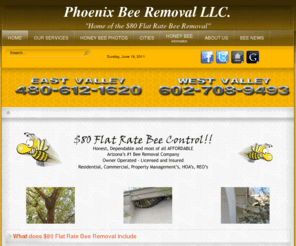 phxbees.com: Bee Removal Arizona-Phoenix Bee Removal | Phoenix, Arizona
Bee Removal Company servicing the City of Phoenix, Arizona as well as the surrounding Metro Areas. We are expert beekeepers offering affordable africanized bee control.