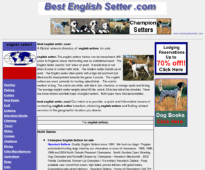 bestenglishsetter.com: english setter - english setters - bestenglishsetters - setter - setters - englishsetter
English setters for sale. English Setters, show, bench,
hunting and field trial Setters