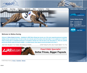 wahoo-racing.com: Wahoo Racing Syndicates greyhounds breeding pups for sale
Greyhound racing Australia, Syndicates wahoo racing. 
Greyhounds, rearing, breeding, news, pups for sale.