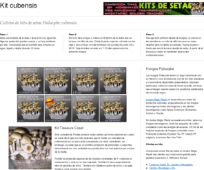 kitcubensis.com: Kit cubensis - variedades de kits para cultivo de Psilocybe cubensis
Donde comprar los distintos kits de cultivo de setas Psilocybe cubensis junto con información sobre las variedades Treasure Coast, B+, Cambodian y Mazatapec así como su cultivo.