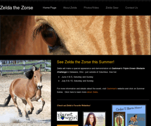 zeldathezorse.com: Zelda the Zorse - Home Page
Zelda the Zorse is half horse and half zebra. She is from a Belgian horse mare and by the Grevy's zebra. Zelda is a beautiful zorse and is ridden and shown by her owners.