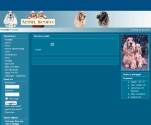 bomway.com: Velkommen til Kennel Bomway
Bomway - Oppdrett av Cokker