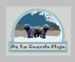 delacuerdafloja.com: DE LA CUERDA FLOJA perro de agua espanol
de la cuerda floja hobby fokker van spaanse waterhond of perro de agua espanol, spannish waterdog of chien d'eau, de la cuerda floja