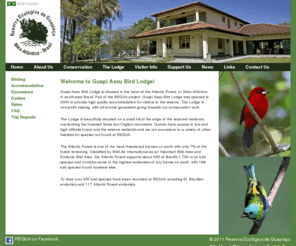 guapiassubirdlodge.com: Guapi Assu Bird Lodge - Atlantic Forest, Brazil
REGUA is a non-profit non-governmental association protecting one of the last stands of tropical rainforest left in the severely depleted Atlantic Rainforest, or Mata Atlntica, in Brazil. REGUAs primary objective is to protect the remaining forest and biodiversity from deforestation, hunting and over-extraction of natural resources.