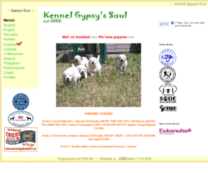 gypsyssoul.net: Kennel Gypsy's Soul : curly coated retriever : golden retriever : lagotto romagnolo : kuldne retriiver : kiharakarvaline retriiver : romagna veekoer
