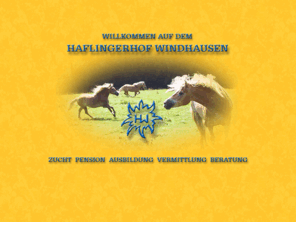 haflingergestuet.com: Haflingerhof Windhausen
Haflingerhof mit Vollpension und ganzjährigem Weidegang mit Zucht, Aufzucht, Ausbildung, 
			Reitanlage