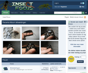insectfocus.nl: Insect Focus
Het forum over geleedpotigen en andere terrariumdieren. Hier kun je informatie delen en praten met andere hobbyisten.
