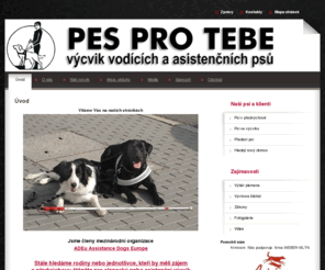 pesprotebe.com: Výcvik vodících a asistenčních psů - PES PRO TEBE
vodici pes psi asistenční nevidomí slepecký jitka lebedova  pes pro tebe výcvik 