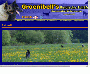 groenibell.com: Groenibell´s Belgische Schäferhunde - Groenendael & Tervueren
Groenibell´s Belgische Schäferhunde. Belgischer Schäferhund. Groenendael und Tervueren. DKBS/VDH/FCI. Liebhaberzucht seit 1985.