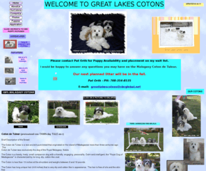 greatlakescotons.com: Great Lakes Cotons, breeder of Coton  pups  in Illinois-Midwest US
Welcome, the Coton de Tulear, the Royal dog of Madagascar, is a rare pure breed that originated in Madagascar. They come in three color varieties, white, black and white and tricolor. Great Lakes Cotons is a CTCA Code of Ethics breeder.