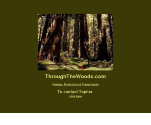 throughthewoods.com: ThroughtheWoods
ThroughTheWoods.com features oustanding artists who use wood as their medium