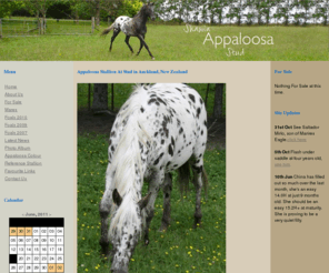 shawinappaloosas.com: Appaloosa stallion at stud - Marires Eagle at Shawin Appaloosa Stud
Bloodlines of Navajo Britches, Colida, Colidas Lad, Deck Bar, Colidas Jet Set, Taco Taco, Buddy Brightside, Ghost Wind, foundation bloodlines, multi champion sire mighty wind song,