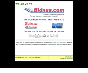 bidnus.com: Web Business Opportunities Home Page
