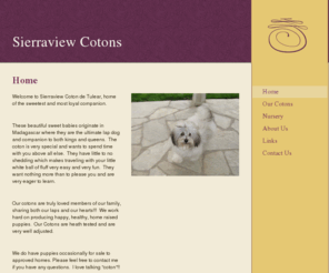 sierraviewcotons.com: Sierraview Cotons - Home
Welcome to Sierraview Coton de Tulear, home of the sweetest and most loyal companion.   These beautiful sweet babies originate in Madagascar where they are the ultimate lap dog and companion to both kings and queens.  The coton is very special and wants to