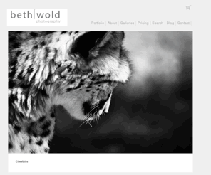 elizabethwoldphotography.com: Wildlife and Nature Photography. Fine Art Prints and Stock Photographs | Beth Wold Photography
Wildlife, nature, flower and landscape photography from Africa to the north woods of Minnesota. Fine Art Prints and Stock available.