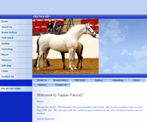 tupperfarms.com: TUPPER FARMS Andalusians
Place your website description in this area. This is read by some search engines.