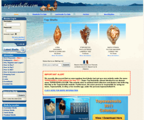 realtopseashell.com: Sea Shells of Topseashells
Seashells of all kinds available to you.