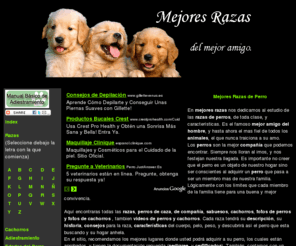 mejoresrazas.info: mejores razas de perro
Todas las razas de perro, perros de raza, cachorros, fotos, videos, fotos de perro, fotos de cachorro, veterinaria, perros, perro