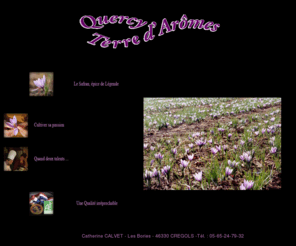 quercy-terre-arome.org: Quercy : Terre d'Arômes
Cathrine Calvet, productrice de safran du Quercy vou présente sa production et ses produits : sirop de safran, berlingots, guimauve etc