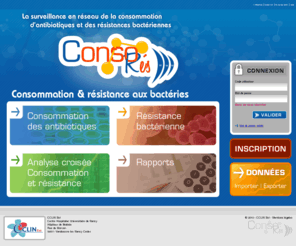 consores.net: Consores
