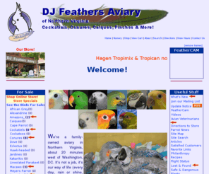 djfeathers.net: DJ Feathers Aviary - Hand-fed Parrots & Avian Products - Caiques Conures 
Cockatiels Macaws Senegals Amazons
Home-based aviary specializing in hand-fed, hand-raised conures, caiques, cockatiels, and more! We also sell food, toys, and supplies for your pet parrot..