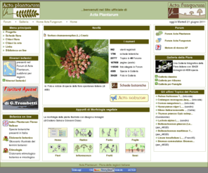 actaplantarum.org: Home Acta Plantarum - Flora delle regioni italiane
Flora delle regioni italiane - Acta Plantarum