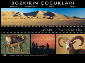 bozkirincocuklari.com: Bozkırın Çocukları
